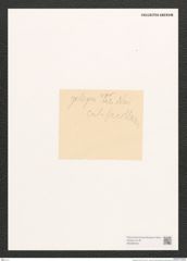 Diatomeae indet. (de-Toni-Nr.: Genus 574) Zeichnungen Sammlung Grunow (NHMW-BOT-W0368448)